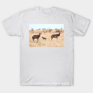 Hartebeest Family - Kruger National Park T-Shirt